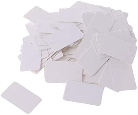 Hıbye 100 adet Kraft Kağıt Hediye Kartları Asmak Etiketleri Takı Etiketleri Etiket Zanaat Dekor 2x3. 3 cm