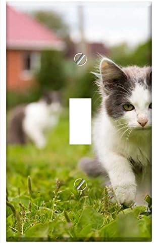 Anahtarı Plaka Tek Geçiş-Kedi Hayvanlar Pet Kedi Görünümlü Evcil Güzel Kedi