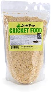 Josh'un Kurbağaları Kriket Kolonisi Yemeği