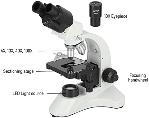 Biyolojik Mikroskop, KP-PH50 ABD Plug 100-240 V Bileşik Mikroskoplar Paslanmaz Çelik Yaygın Cam Oküler ile Okullar için Araştırma