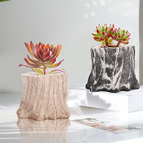 YOUEON 8 Paketi ile çiçeklik Tencere Drenaj, ağaç Güdük Catus Saksı Bonsai saksısı Dekoratif Saksı Minni Ekici Kapalı Bitkiler