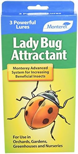 Monterey LG8510 Lady Bug Cazibesi, 3'lü Paket