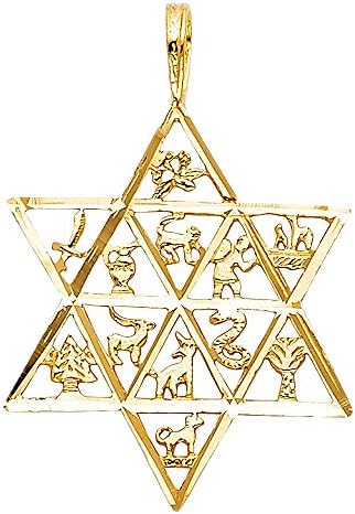 ZenJewels 14 k Sarı Altın Yahudi David yıldızı Kolye 12 Hayvan Yıldız Charm Katı Cilalı 24x21mm