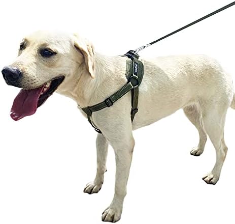 DogFad Köpek Halter Tasması Ayarlanabilir Yansıtıcı evcil hayvan yeleği Yürüyüşü Köpek Koşum Hiçbir Çekme Köpek Koşum Küçük