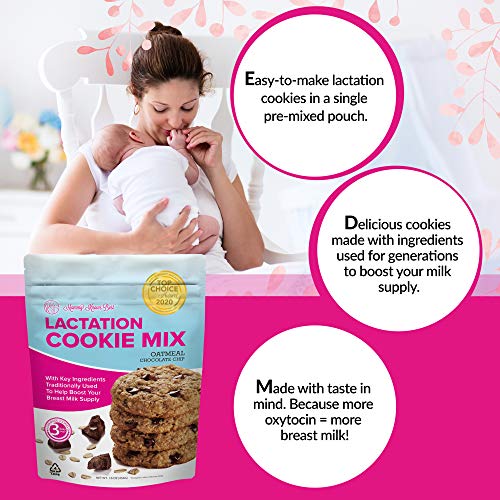 Laktasyon Kurabiyeleri Karışımı-Yulaf Ezmeli Çikolatalı Emzirme Kurabiyesi Takviyesi Anne Sütü Arzını Artırmak için Destek-16
